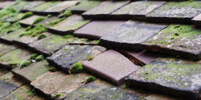 Llansantffraed roof repair costs